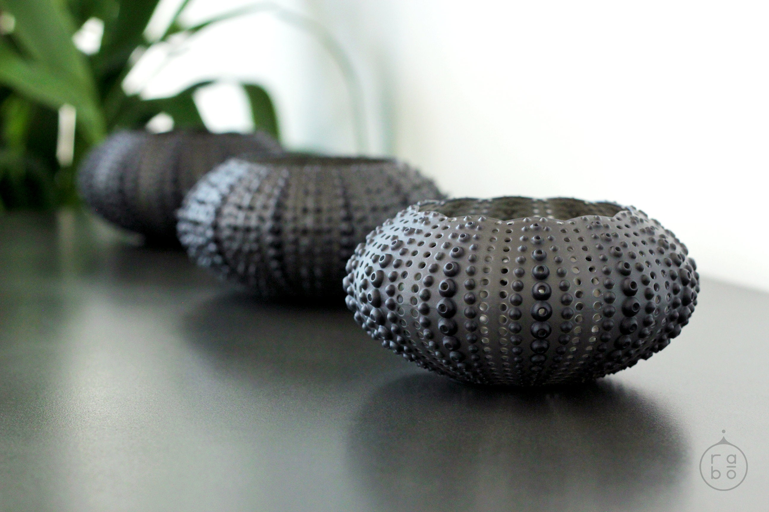 SEA URCHIN SHELL Design Candle Holder 3D Printed Etsy