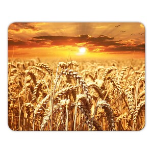 May include: A field of golden wheat stalks swaying in the breeze at sunset. The sun is setting behind the wheat field, casting a warm glow over the scene.