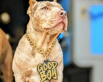 Custom Pet Turnover Chain | Custom Pet Pendant Chain | Personalized Dog Collar Chain | Pet Photography Collar