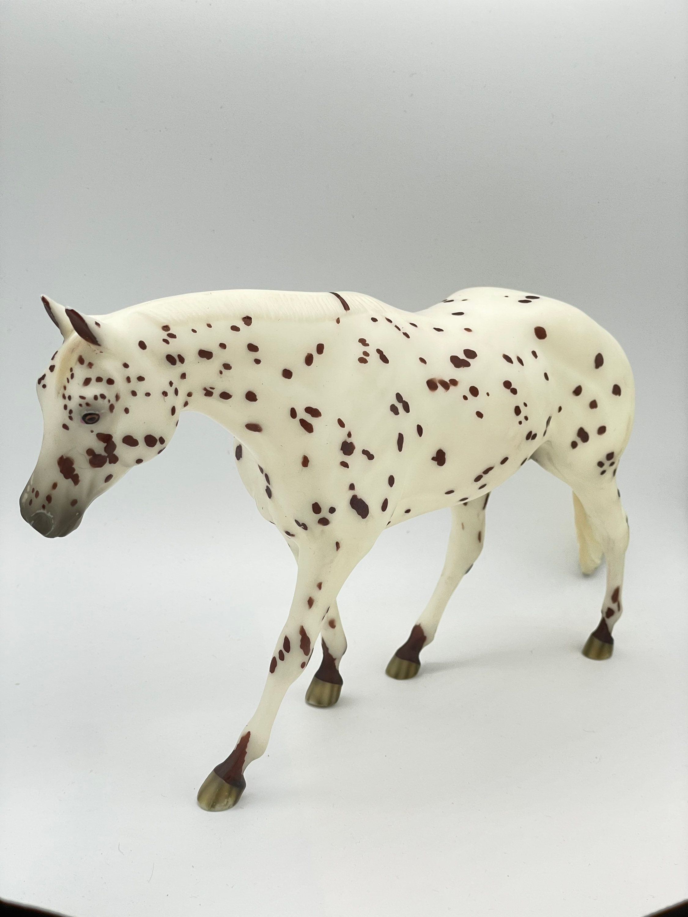 Breyer Horse Extremely Rare Special Run 2000 Jha Confetti Bay Pinto