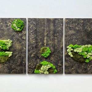 Preserved Moss Wall Art Triptych, Set of 3