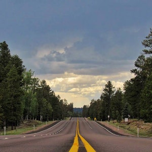 Road Trip