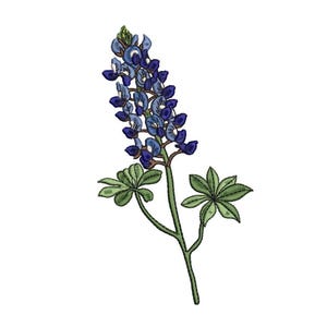 以下が含まれることがあります： 青いルピナスの花が1輪、緑の葉がついています。花は満開で、長い茎があります。