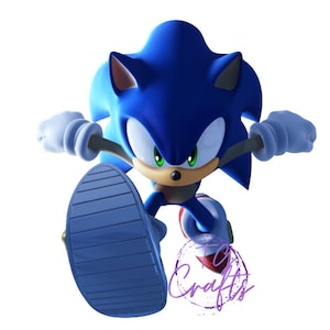 READY TO PRESS sublimation print - hedgehog 2