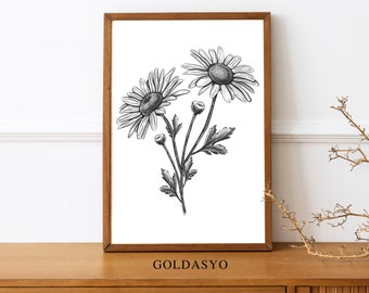 Antique Neutral Flower Sketch | Flower Sketch | Vintage Botanical Drawing | Delicate Wall Decor | Room Decor | Vintage Camomile | Digital