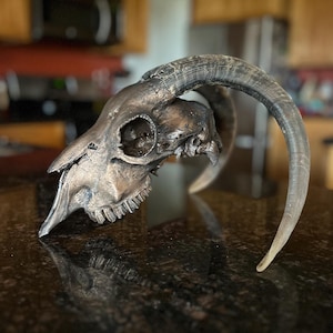 Bronze Goat skull