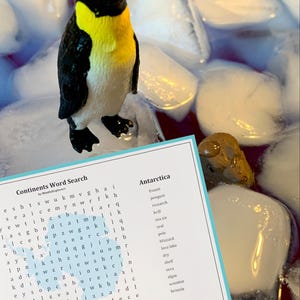 Geography Word Search Puzzles: Kids Homeschool Activity (Digital Download)