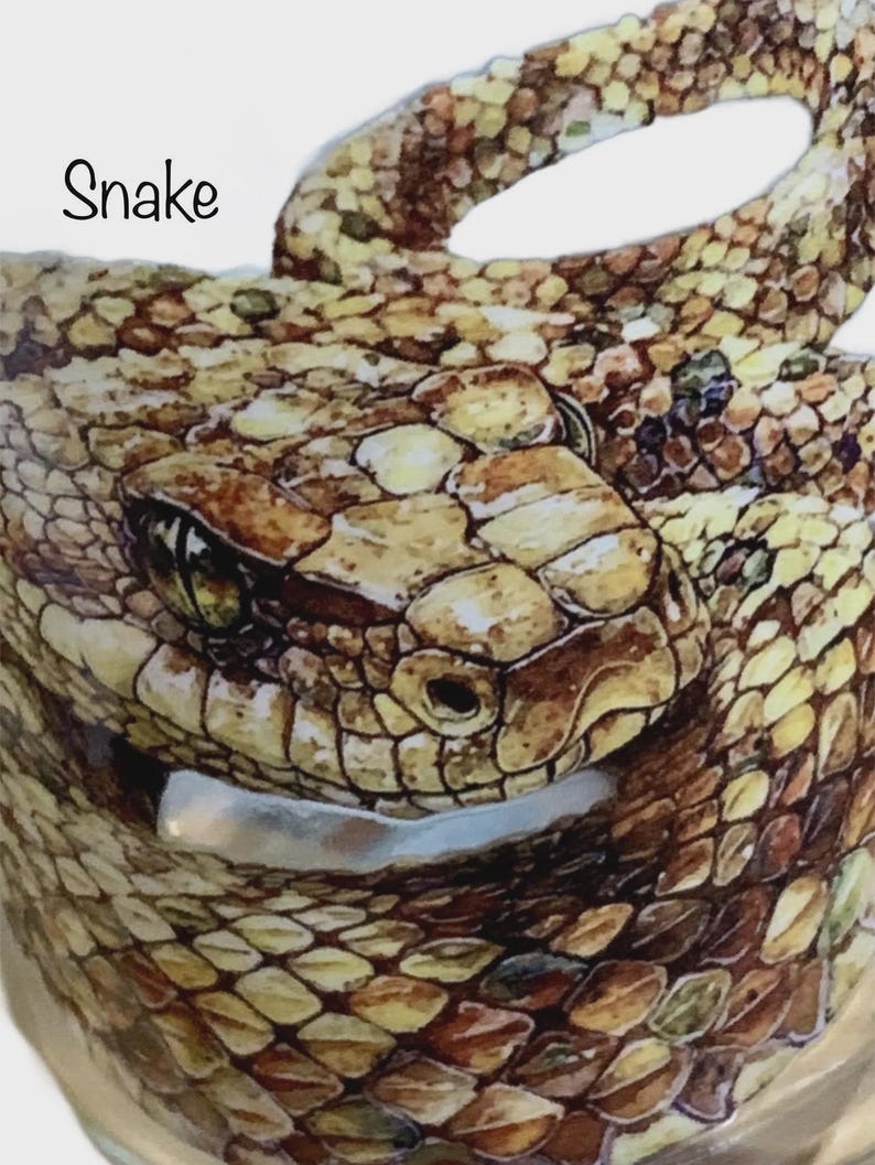 May include: A detailed illustration of a coiled snake with brown, tan, and yellow scales. The snake has a prominent head with visible eyes and nostrils. The word Snake is printed in black text in the upper left corner of the image.