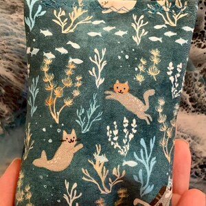 Catnip Pillow Toy with Storage Bag - Cat Tested