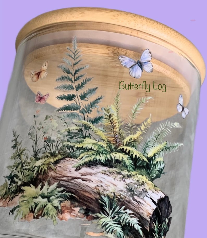 May include: A clear glass storage jar with a light-colored wooden lid. The exterior features a printed design of a fallen log covered in green ferns and various plants, accented by several butterflies and the text Butterfly Log in green.