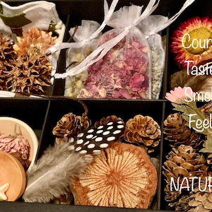 Kids Nature Sensory Crafting Boxes Montessori Waldorf Forest School Creative Play and Math