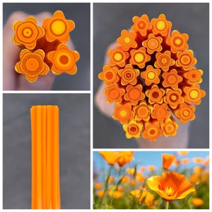 COE 90 Flower Murrini | Med/Large Pretty Poppies 1oz | Millefiori, Murrine, Vitrigraph, Bullseye Murrini, Glass Cane, Glass Slices