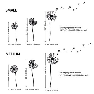 Dandelion Size Chart