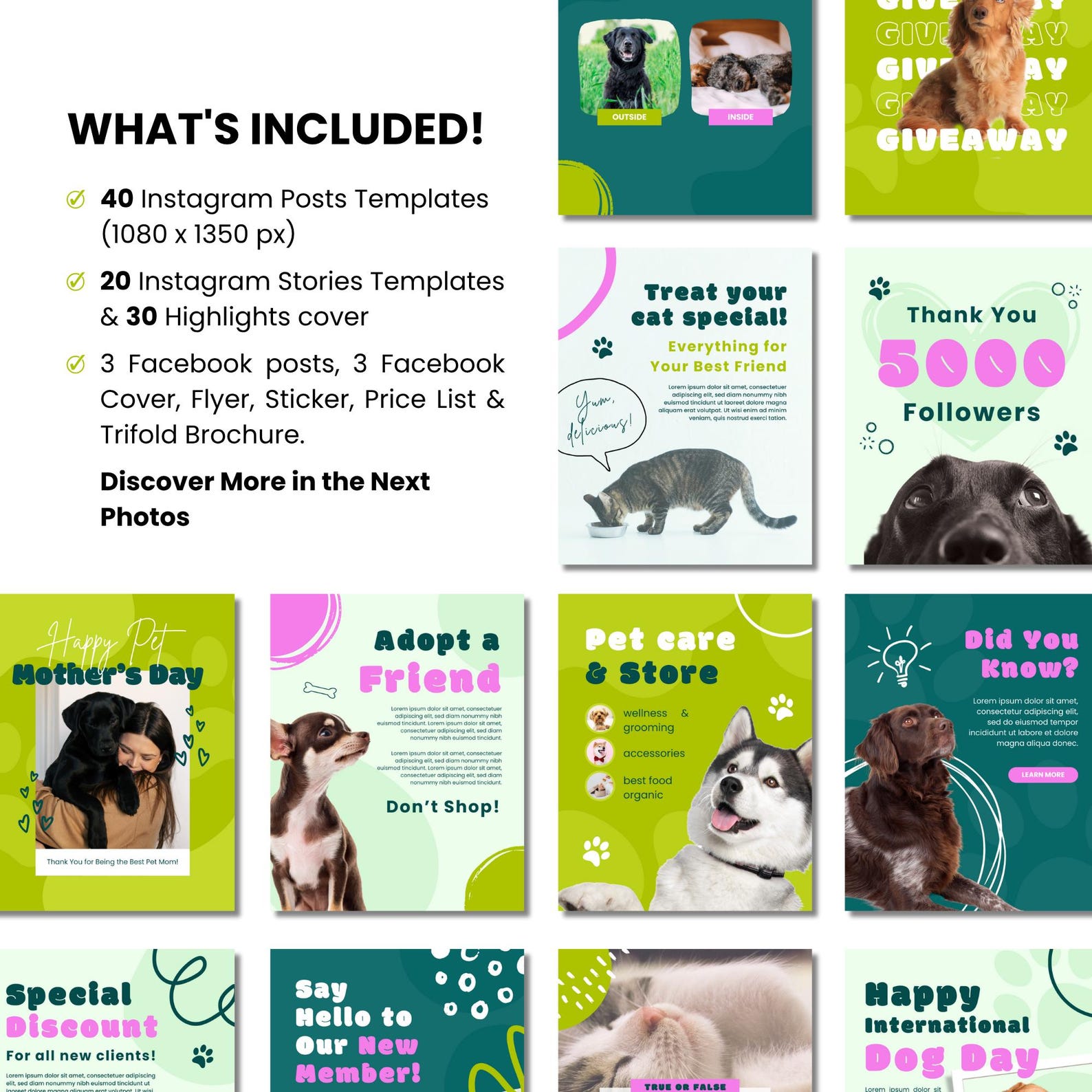 Curated visual reference: Picture Idea: 100 Canva Templates For Pet Businesses Social Media For Dog
