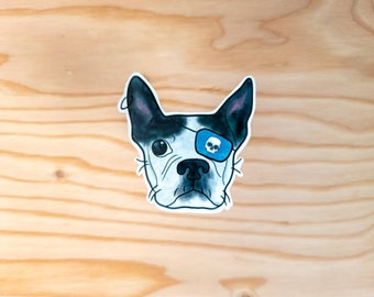 Boston terrier sticker, boston pirate terrier, boston terrier eye patch, fun boston terrier sticker, aye aye captain