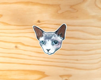 Sphynx cat sticker