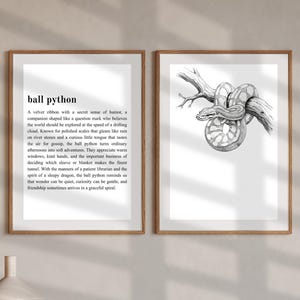 Puede incluir: Dos impresiones artísticas enmarcadas. La impresión de la izquierda presenta el texto "ball python" y un párrafo descriptivo. La impresión de la derecha muestra una ilustración detallada en blanco y negro de una serpiente enrollada alrededor de una rama de árbol.