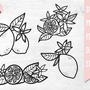 Lemon SVG Bundle, Lemon Plant SVG, Lemon Clip Art