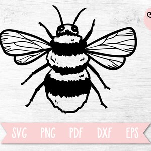 Bee SVG, Bee Clip Art, Bee Cricut File, Honeybee SVG | Cricut File