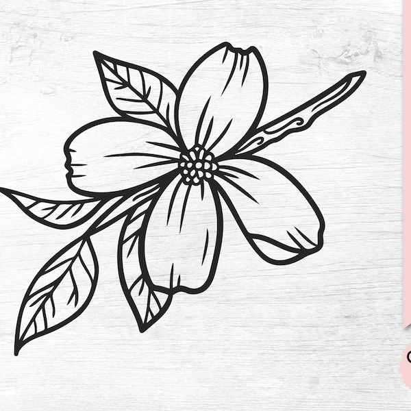 Dogwood Flower SVG, Botanical SVG, Handdrawn Flower, Dogwood Clipart