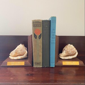 May include: A display of vintage books held by wooden bookends, each adorned with a large, cream-colored seashell. The bookends have a small gold label that reads "HORN HELMET INDO PACIFIC".