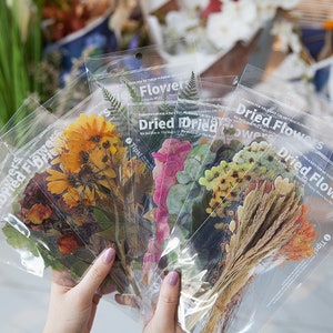 Klare Jumbo Trockenblumen Sticker Pack (6 Stück) für Junk Journals, Bullet Journals, Scrapbooking, etc