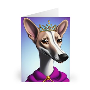Simpatico cartone animato Princess Greyhound Biglietti d'auguri vuoti (confezione da 5)