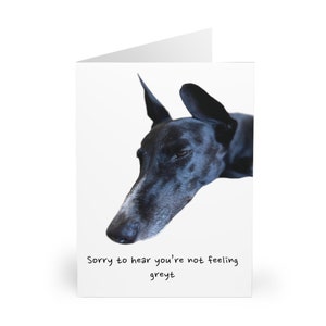 Greyhound Not Feeling Grey Grußkarten (5er Pack)