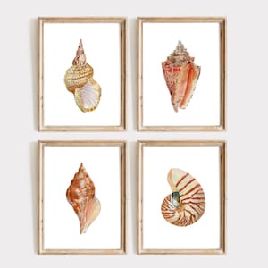 Peut inclure: Quatre impressions encadrées à l'aquarelle de coquillages. Les impressions présentent des illustrations détaillées de divers coquillages dans des tons or, orange et crème, sur fond blanc. Les cadres sont de couleur marron clair.