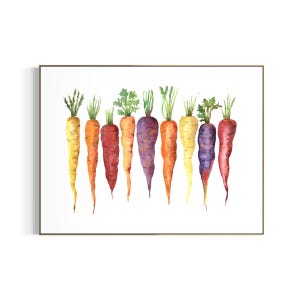 May include: A watercolour illustration featuring nine carrots arranged in a horizontal row. The carrots display a variety of colours including yellow, orange, red, purple, and deep pink, each topped with green leafy stems against a white background.