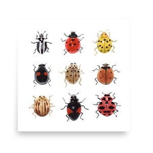 Arte de pared de mariquita, pintura de acuarela, impresión de insectos, regalo para amantes de los insectos, el mejor regalo para ella