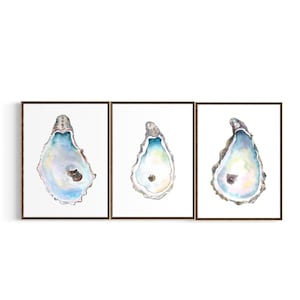 May include: Set of three framed watercolor prints featuring oyster shells. Each shell is depicted with a pearlescent, iridescent quality, showcasing shades of blue, white, and hints of yellow and brown. The frames are a warm brown.