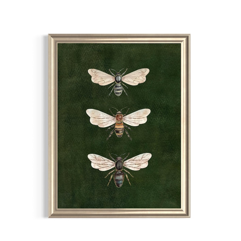 May include: A framed wall art print featuring three detailed illustrations of bees arranged vertically. Each bee is depicted with translucent wings and distinct body markings against a solid, deep forest green textured background.