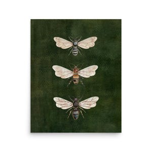 Vintage Bee Illustration,Vintage Insect Print, Dark Moody Nature Poster, Moth  Art, Dark Academia Decor, Vintage Entomology Art Print