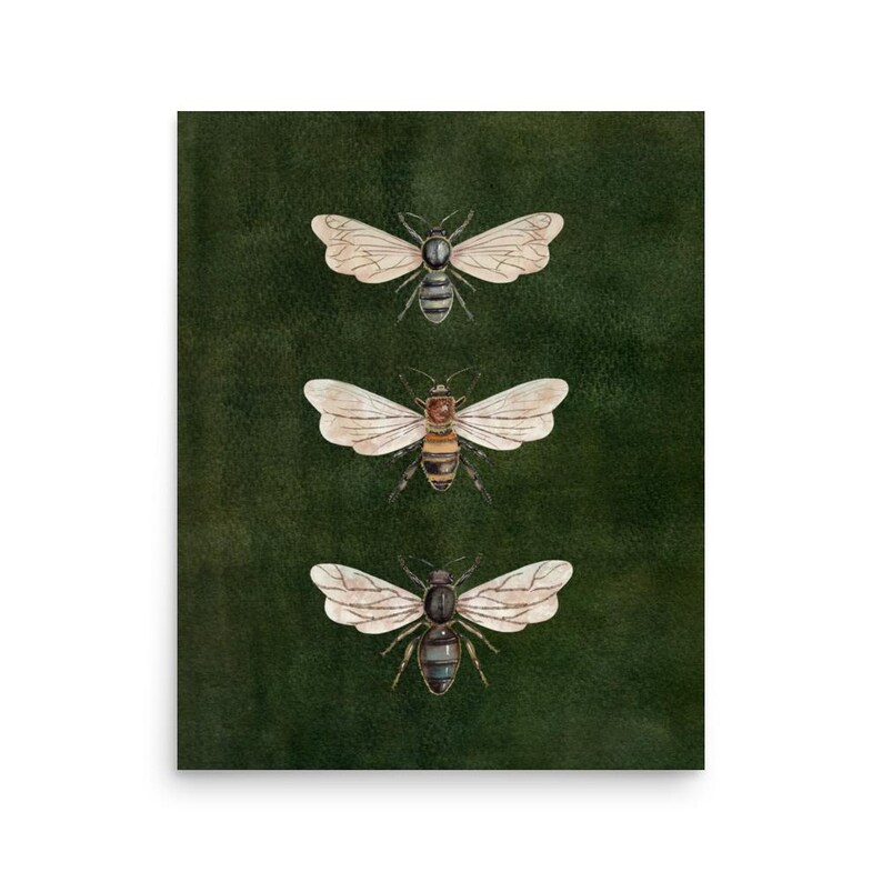 Vintage Bee Illustration,Vintage Insect Print, Dark Moody Nature Poster, Moth  Art, Dark Academia Decor, Vintage Entomology Art Print