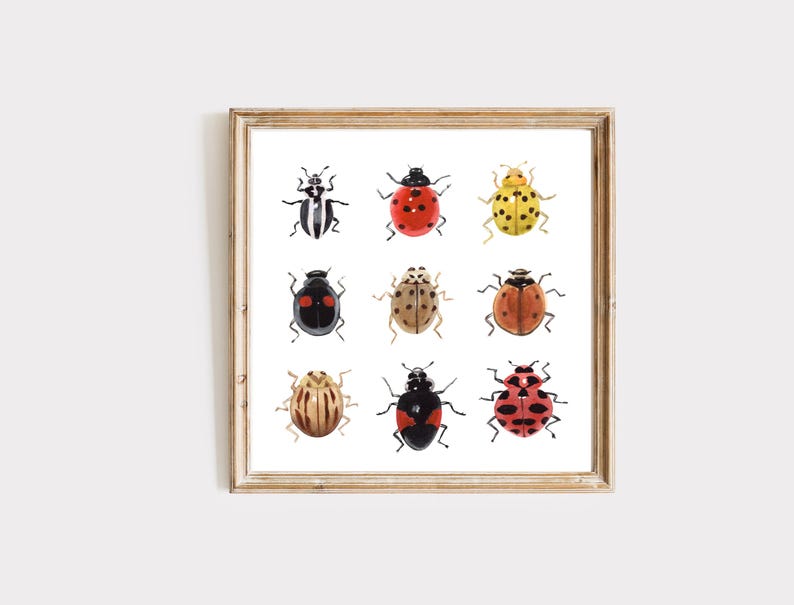 Ladybug Watercolor Art Print Insect Illustration Nature Wall Decor - Etsy