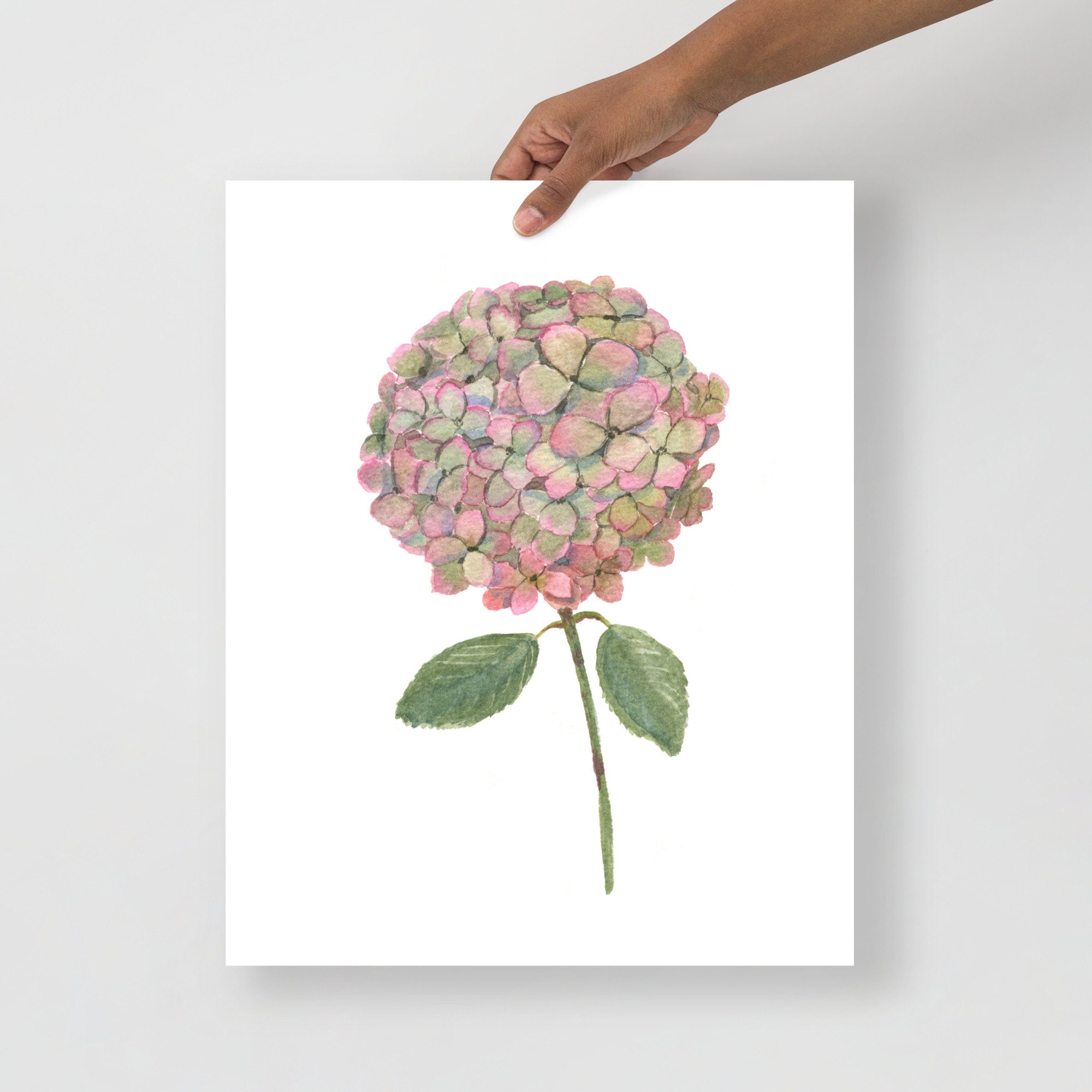 Pink Hydrangea Watercolor Art Print Floral Wall Decor - Etsy