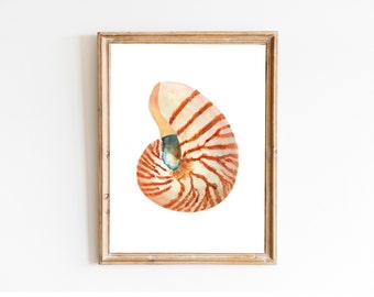 Shells, Shell art,Sea Shell Art, Shell Decor, Beach Cottage Art, Sea Shells Painting, Marine, Coastal Decor, Beach House art, Beach Artt,