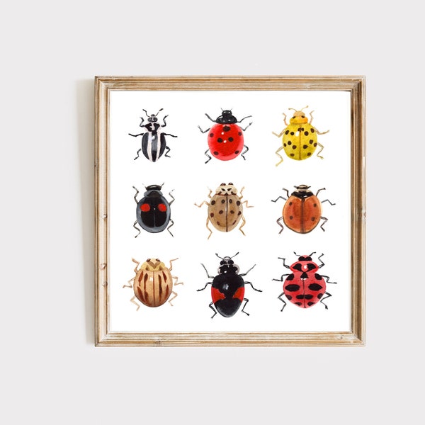 Ladybug Art Print, Watercolor Painting, Bug Insect Print, Insect Lover Gift, Ladybird Painting, Lady Bug, Realistic Art, Gift For Him
