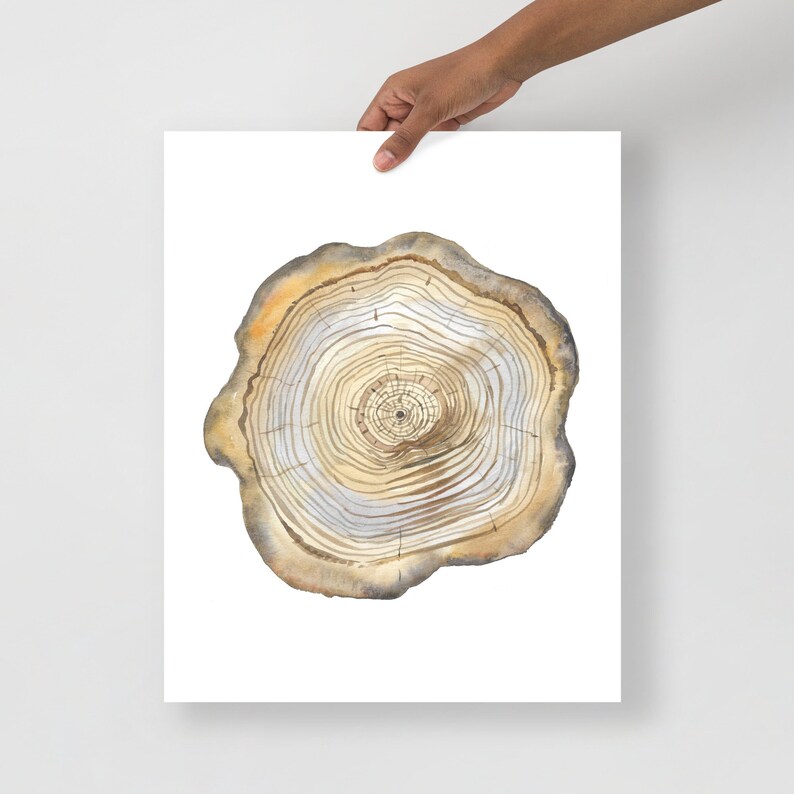 Tree Stump Print Tree Ring Watercolor Wall Art Wood Cut Art Etsy