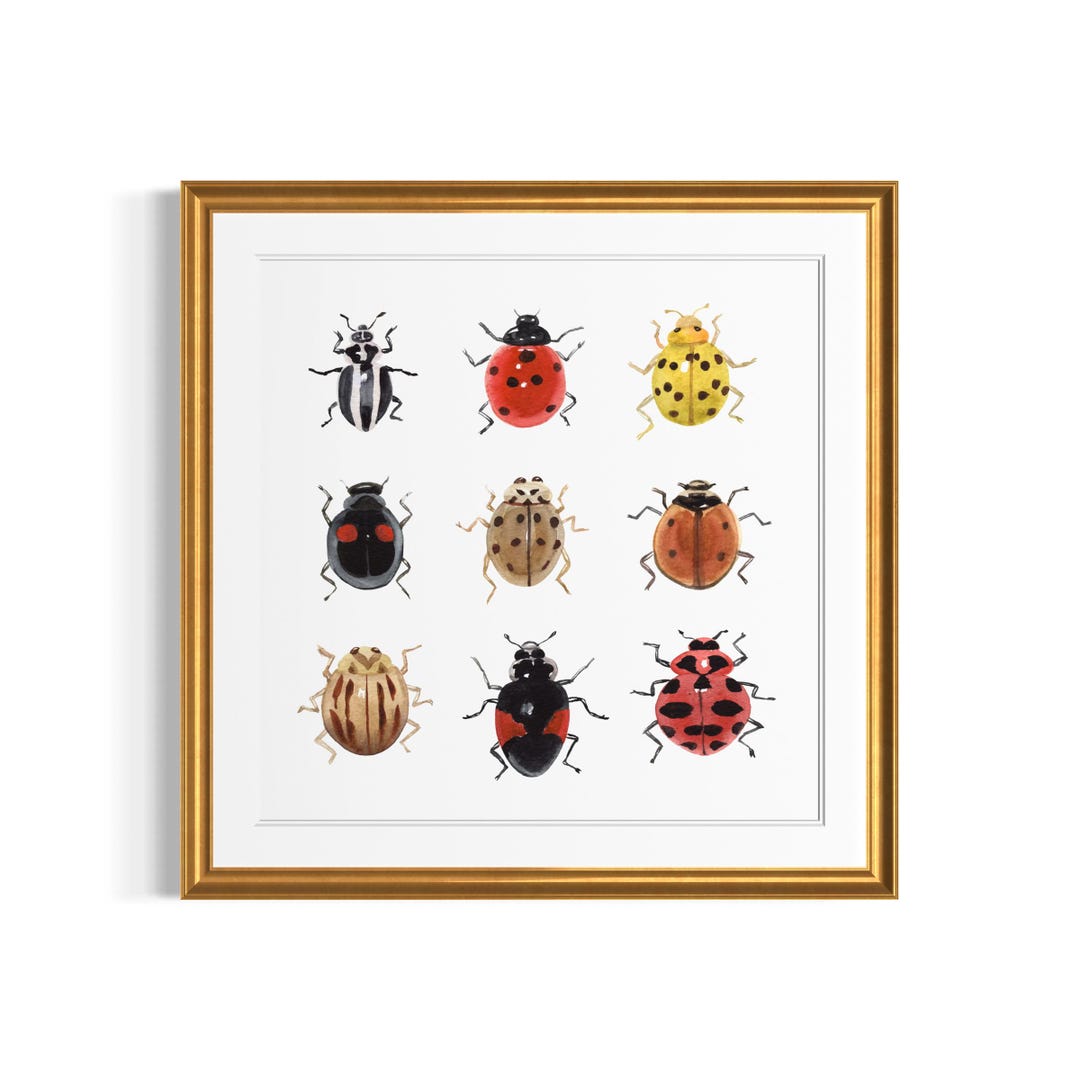 Ladybug Watercolor Art Print Insect Illustration Nature Wall Decor - Etsy