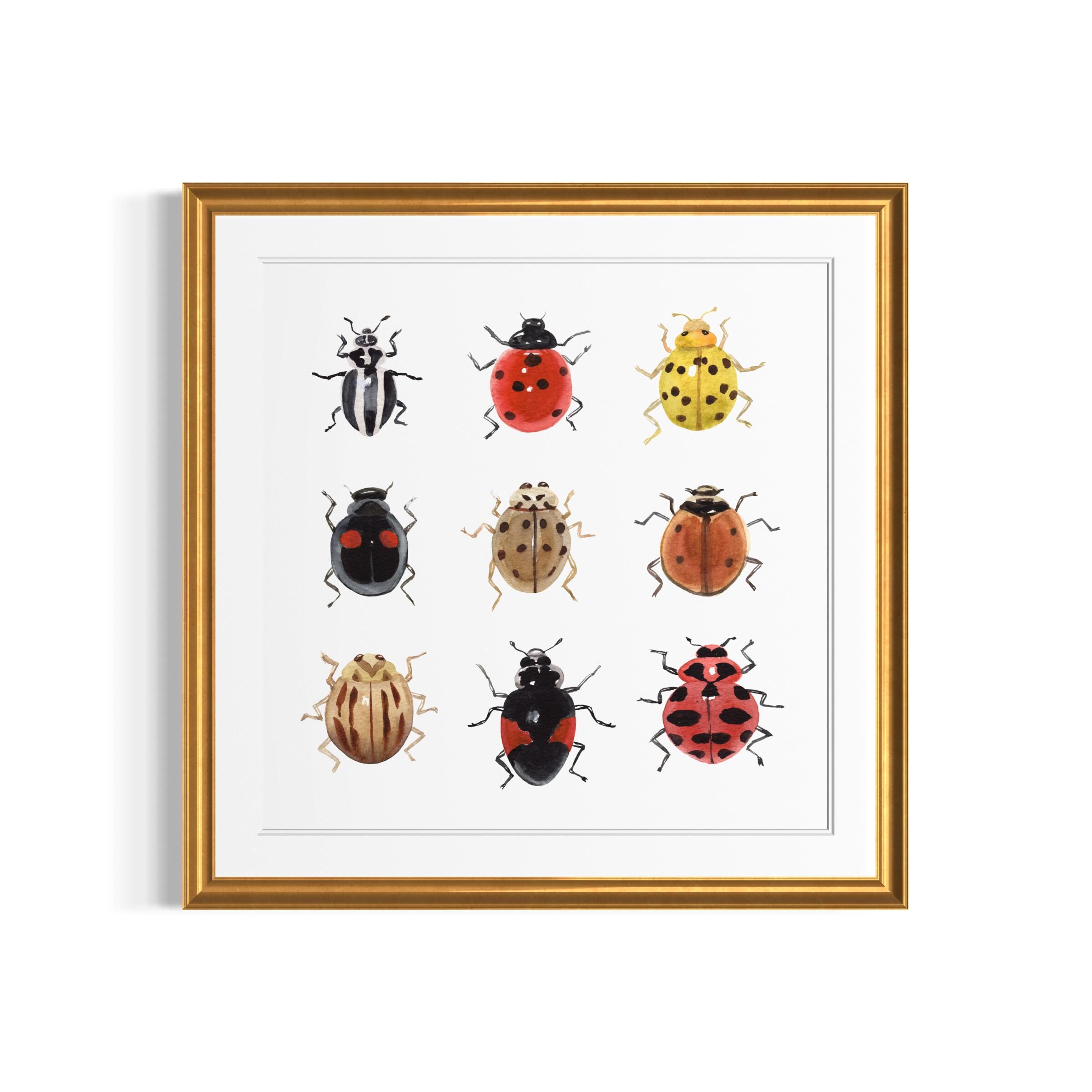 Ladybug Watercolor Art Print Insect Illustration Nature Wall Decor - Etsy