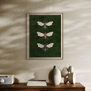 May include: A framed wall art print featuring three detailed illustrations of bees arranged vertically. The bees are depicted with translucent wings and distinct body markings, set against a solid, deep forest green background.