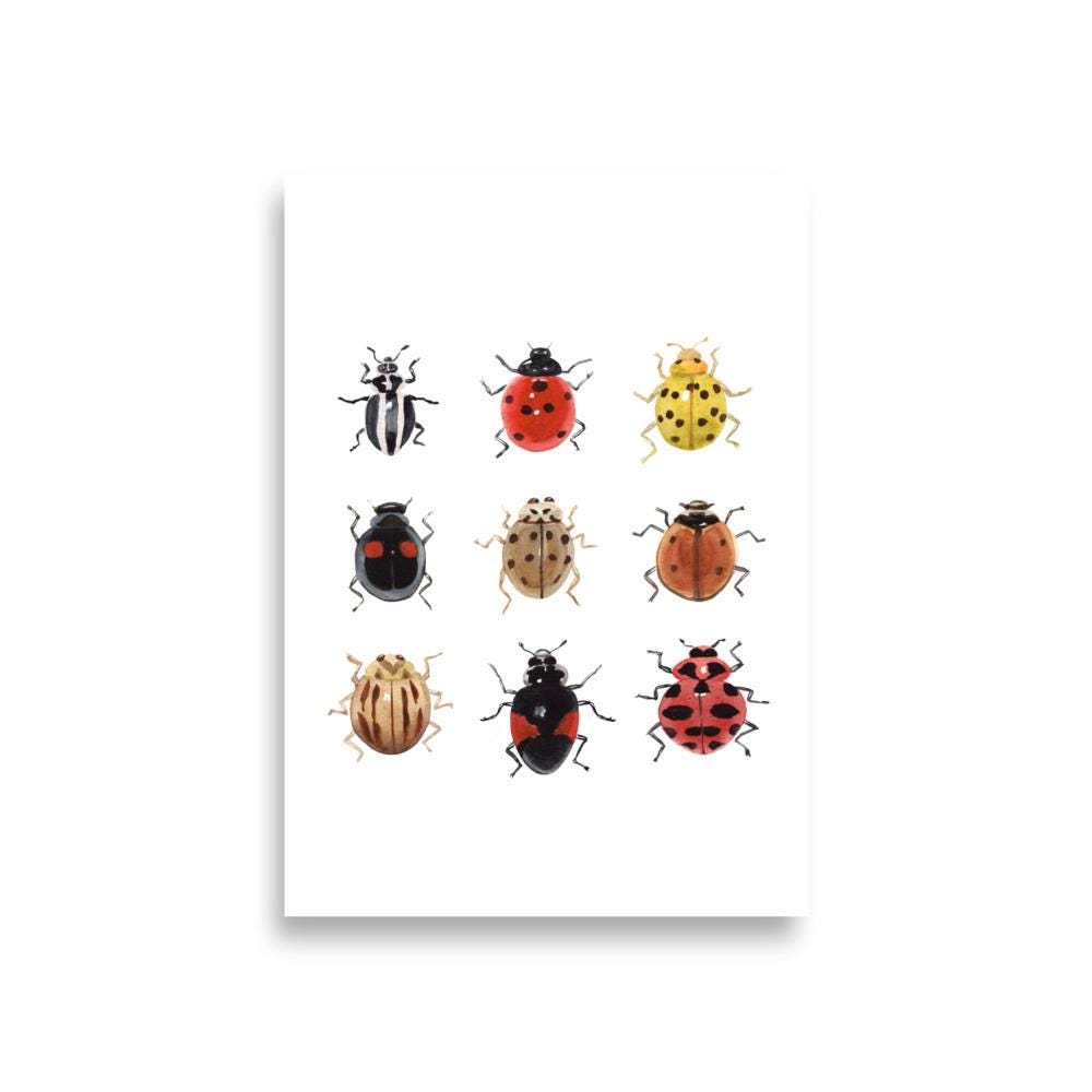 Ladybug Watercolor Art Print Insect Illustration Nature Wall Decor - Etsy