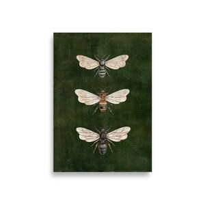 Vintage Bee Illustration,Vintage Insect Print, Dark Moody Nature Poster, Moth  Art, Dark Academia Decor, Vintage Entomology Art Print