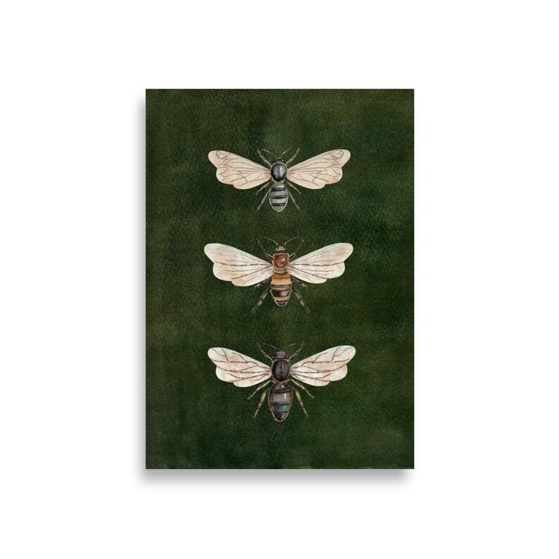 Vintage Bee Illustration,Vintage Insect Print, Dark Moody Nature Poster, Moth  Art, Dark Academia Decor, Vintage Entomology Art Print