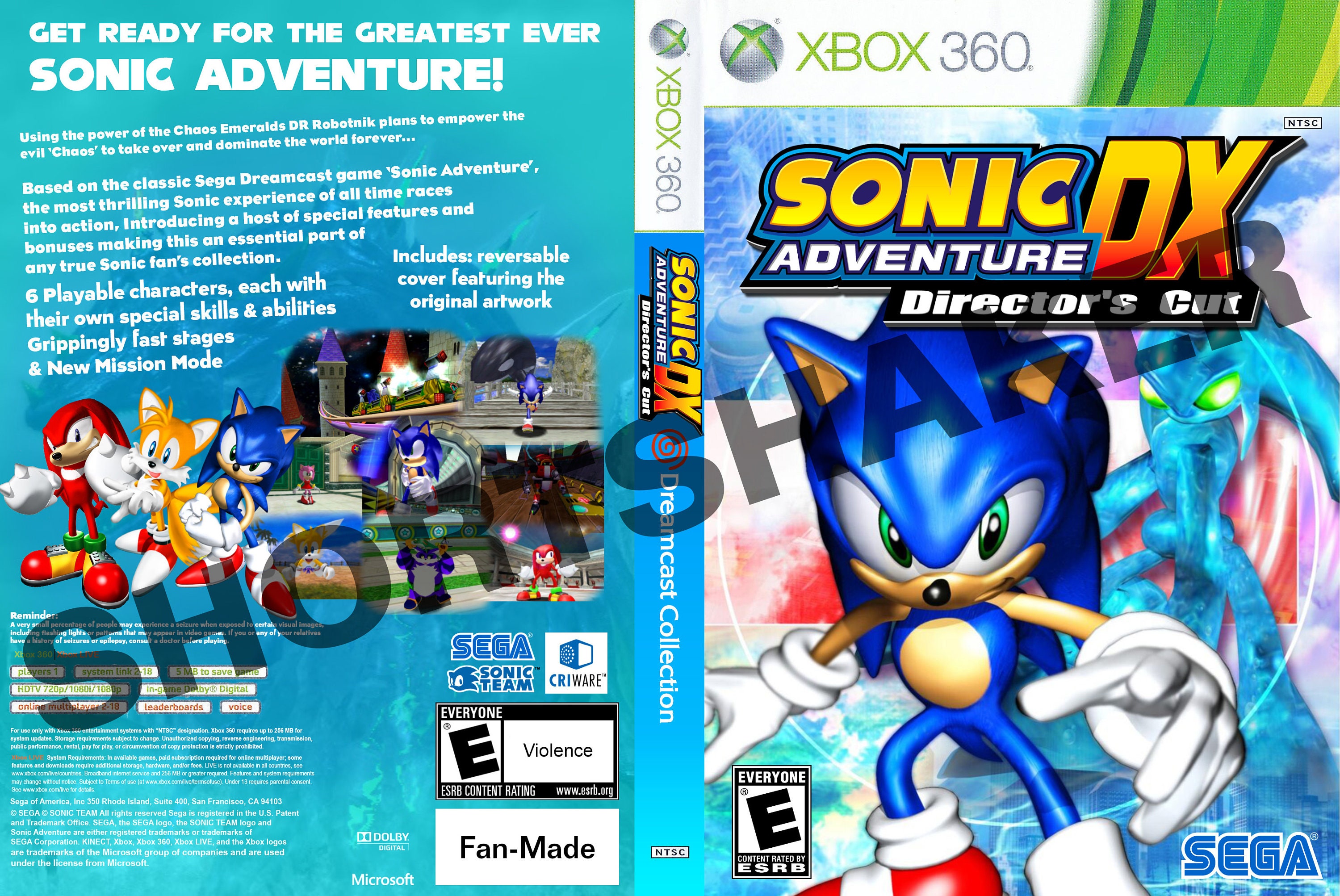 Sonic Adventure DX Directors Cut GameCube MANUEL ONLY