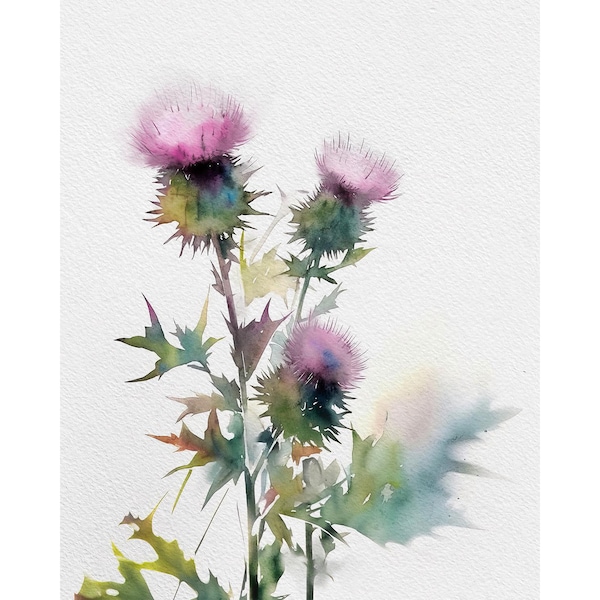 Distel Aquarell Malerei Schottische Blumen Kunstdruck Wildblumen Wand Kunst Blumen Poster