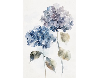 May include: A watercolor painting of two hydrangea flower clusters in shades of deep blue, indigo, and soft violet. The flowers are attached to thin green stems with muted, brownish-green leaves, all rendered with visible brushstrokes on paper.