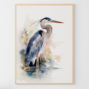 Graureiher Aquarell Malerei Reiher Vogel Kunstdruck Küstenvogel Poster Wasservogel Wandkunst